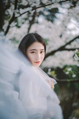 暴躁老女人免费高清电视剧4K