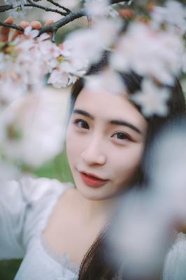 三年中文免费视频大全