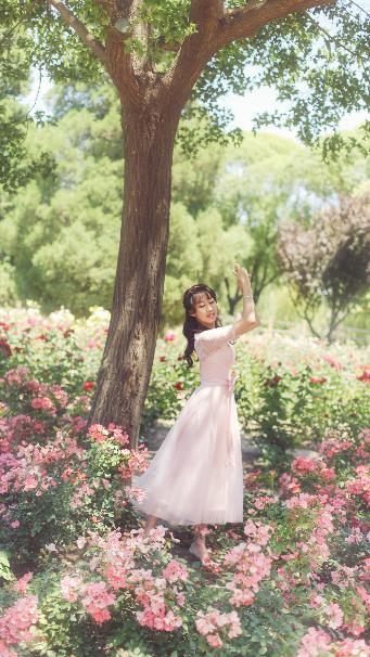 中文字幕2019年最好看电视剧